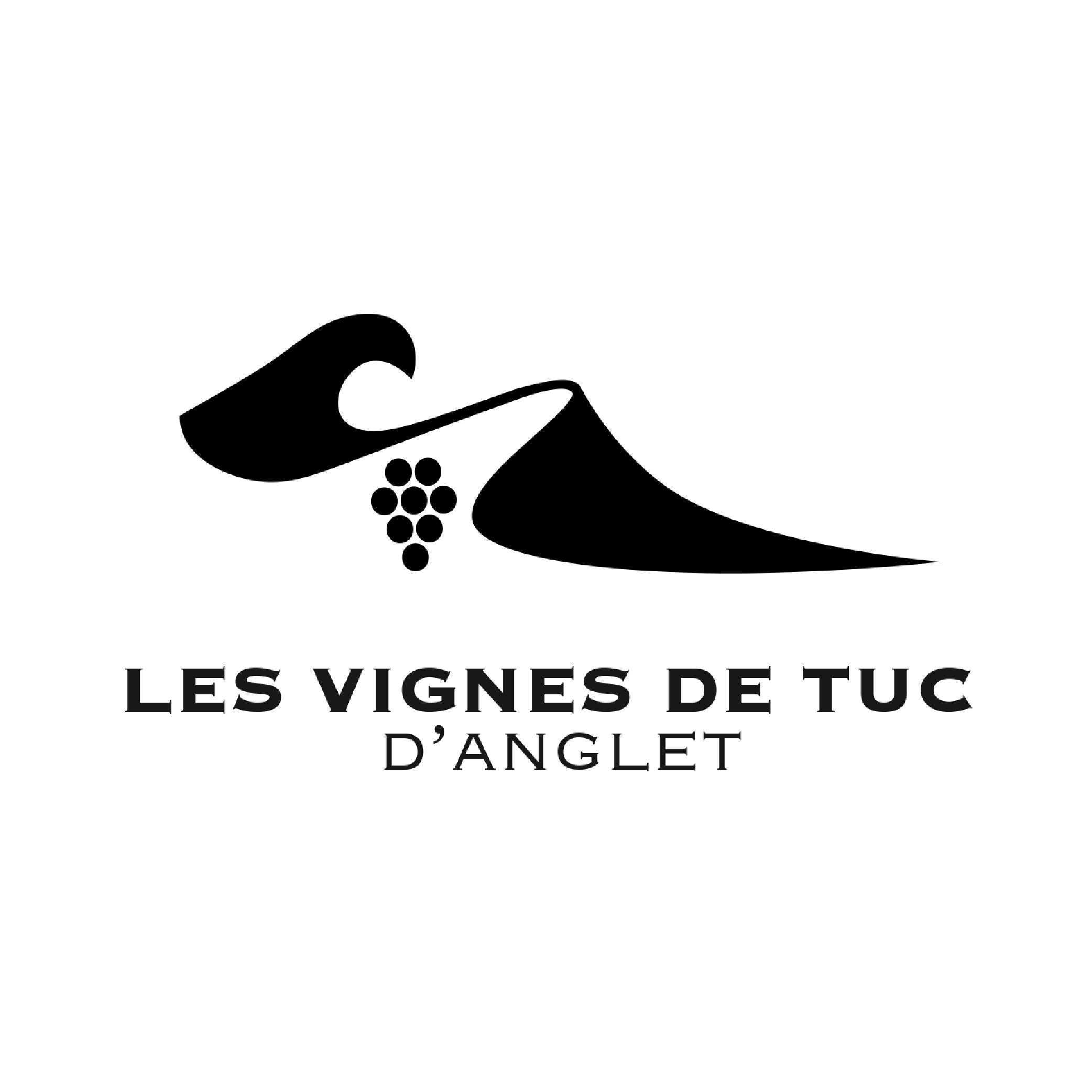 LOGO LES VIGNES DE TUC