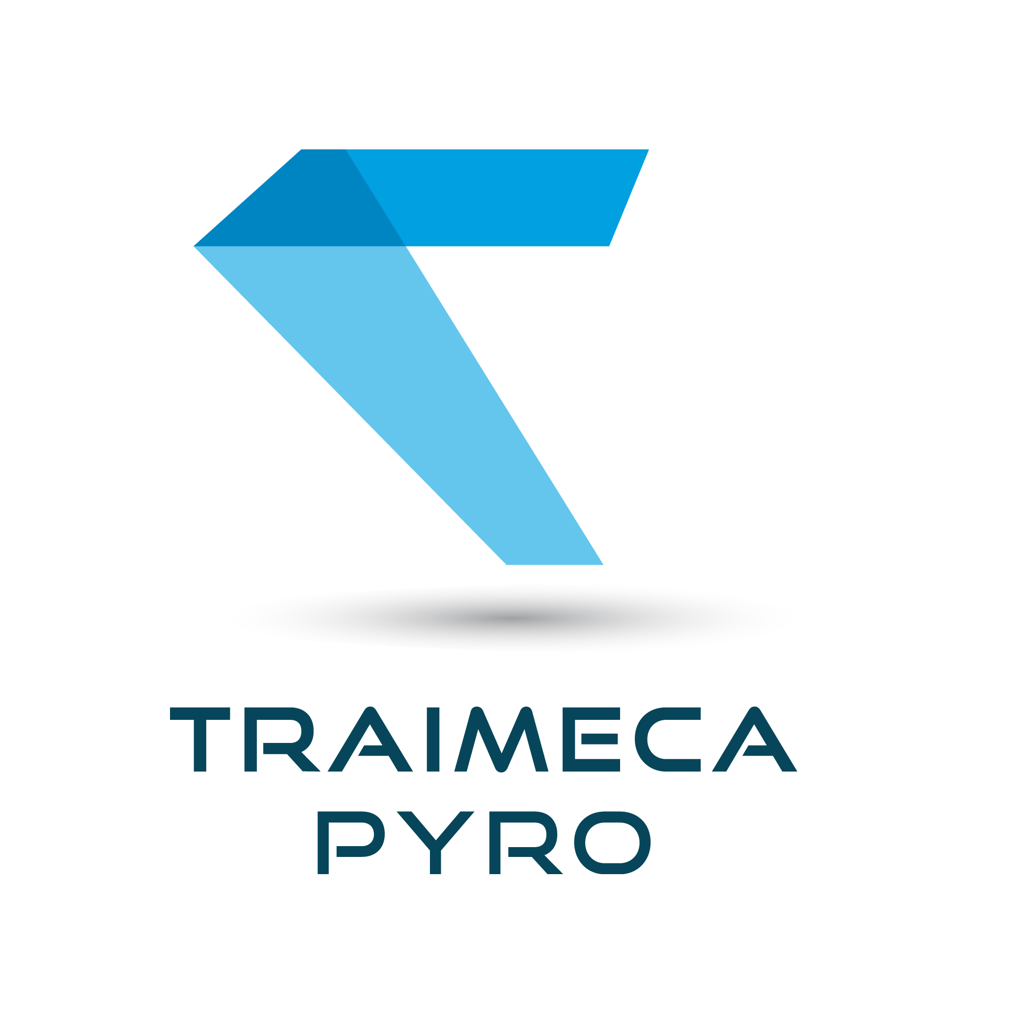 LOGO TRAIMECA